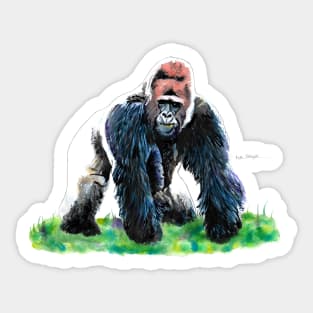 Silverback Gorilla 2 Sticker